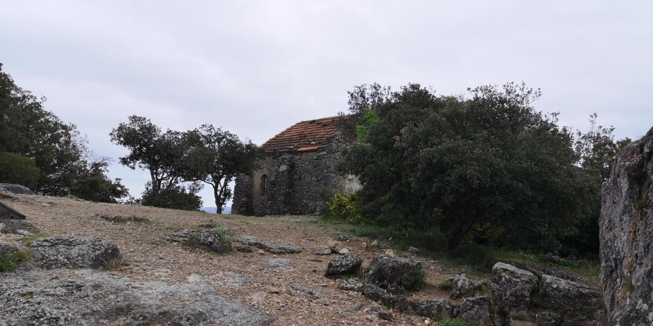Le Mimosa Bed & Breakfast Saint-Saturnin-de-Lucian Exterior photo