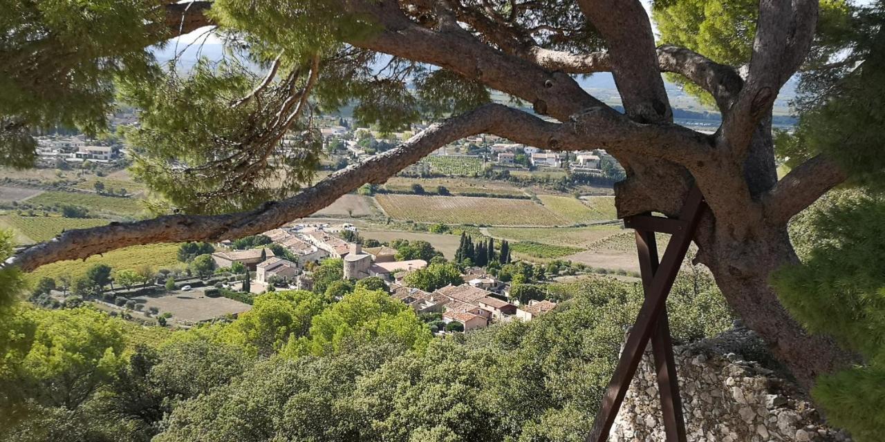 Le Mimosa Bed & Breakfast Saint-Saturnin-de-Lucian Exterior photo