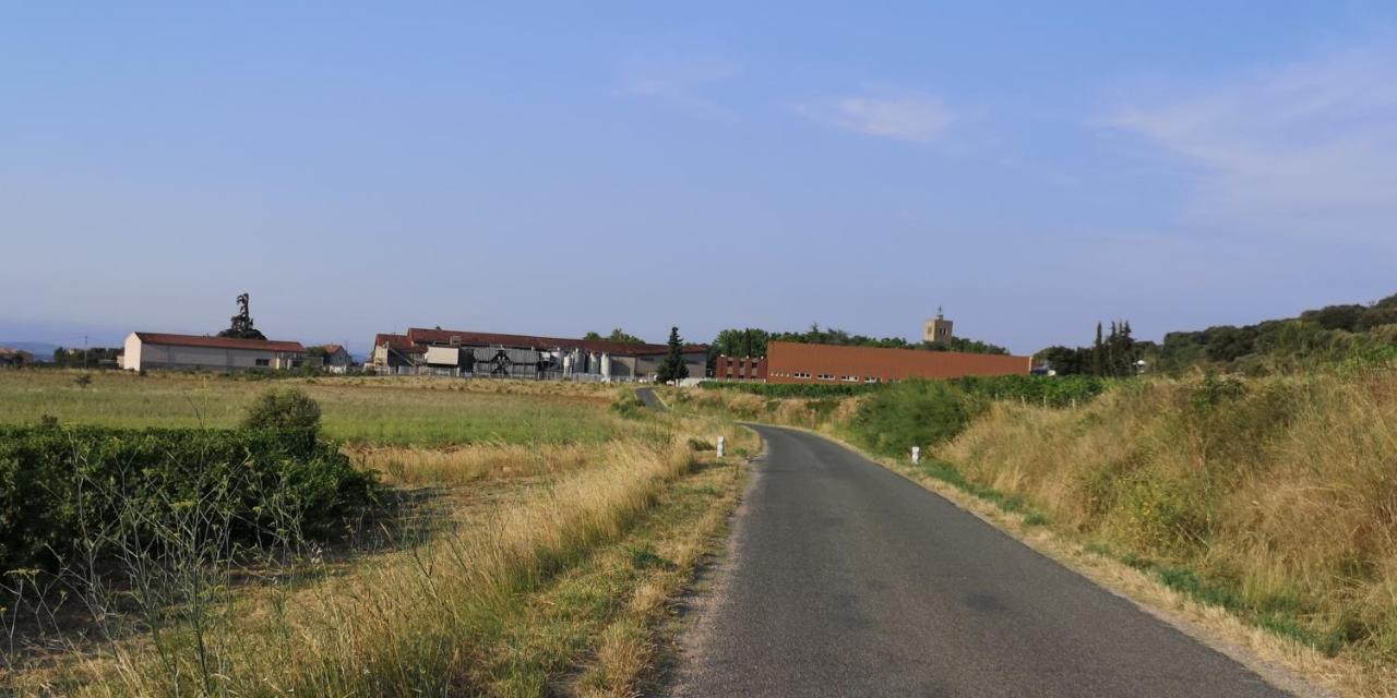 Le Mimosa Bed & Breakfast Saint-Saturnin-de-Lucian Exterior photo