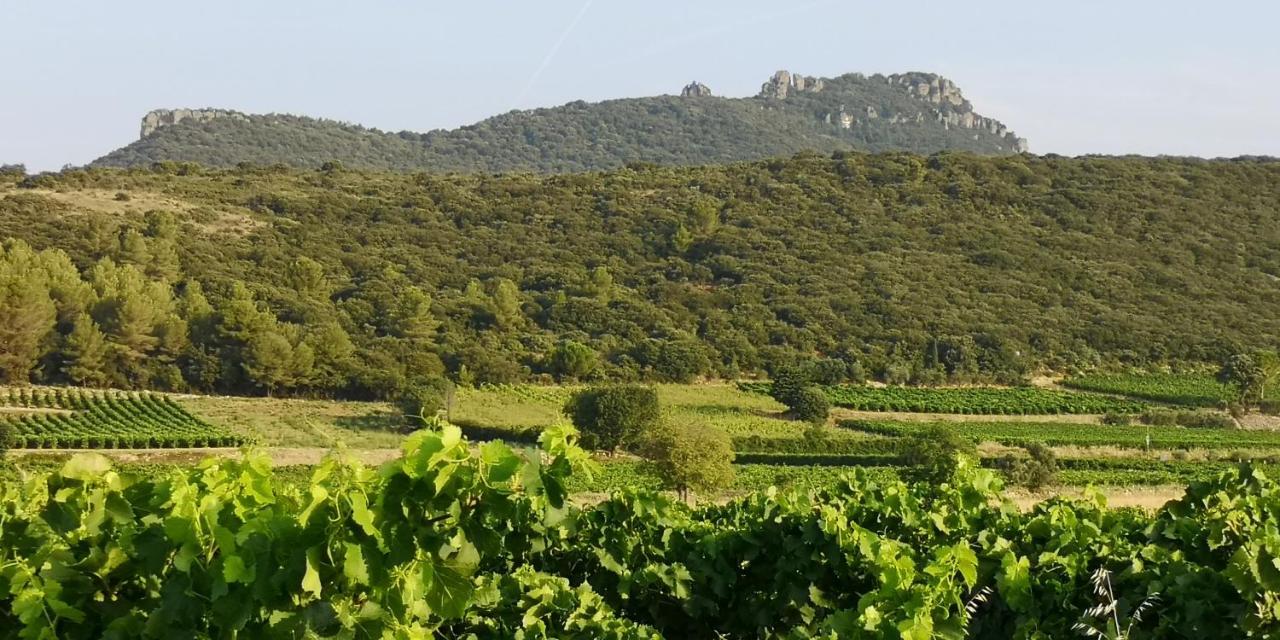 Le Mimosa Bed & Breakfast Saint-Saturnin-de-Lucian Exterior photo